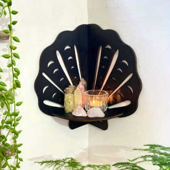 Set of 1 Random Round Wall Hanging Laminated MDF Plants (S46)